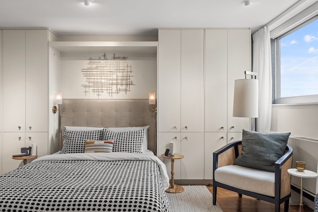 bedroom featuring wood-type flooring and two closets