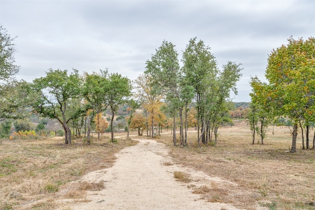 Listing photo 3 for 870 Collier Ranch Rd, Stephenville TX 76401