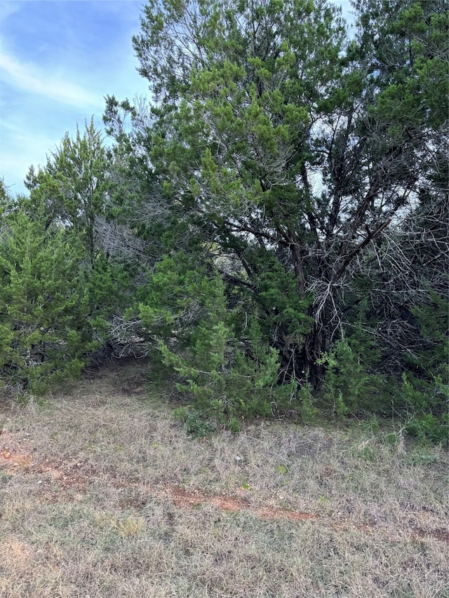 32049 Dove Trl, Whitney TX, 76692 land for sale