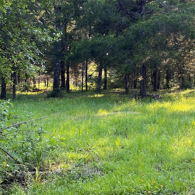 view of local wilderness