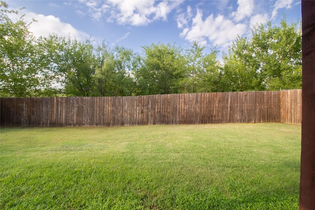 view of yard