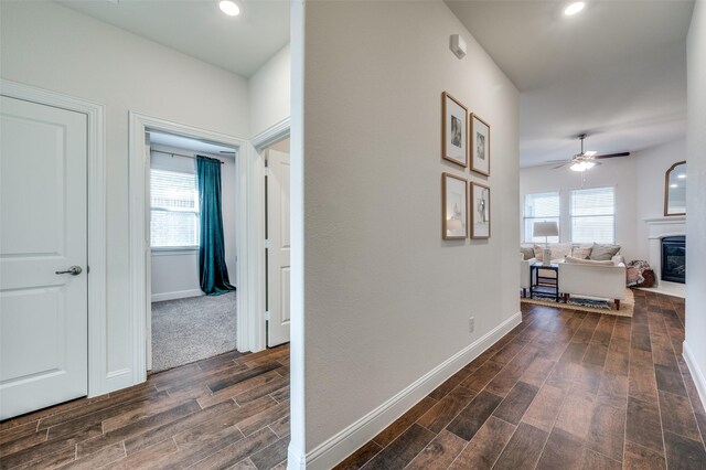 corridor featuring dark hardwood / wood-style floors