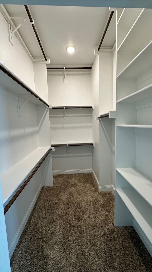 walk in closet with dark colored carpet