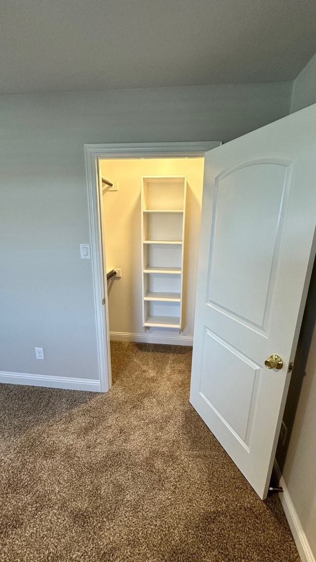 walk in closet with carpet flooring