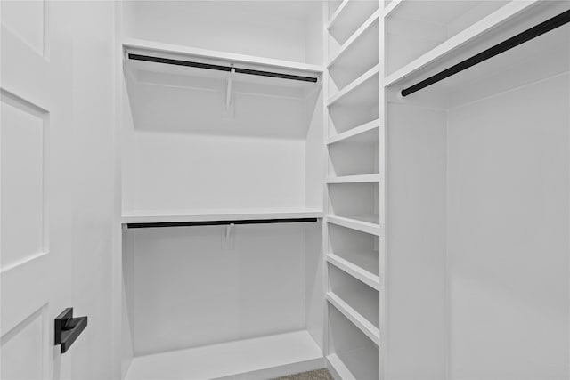 view of walk in closet