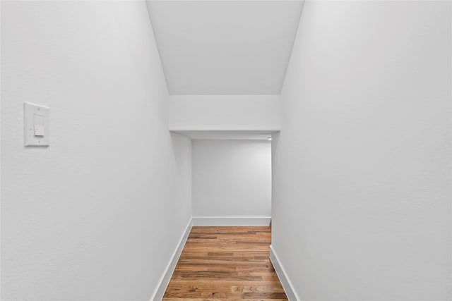 walk in closet featuring wood-type flooring