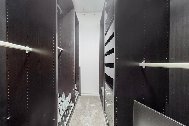 spacious closet featuring light colored carpet