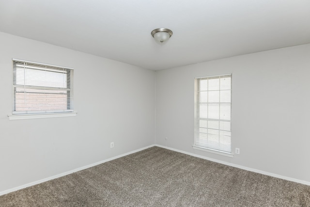 unfurnished room with carpet floors and a healthy amount of sunlight