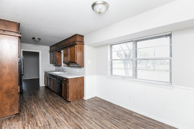 kitchen with dishwasher, dark hardwood / wood-style flooring, and sink