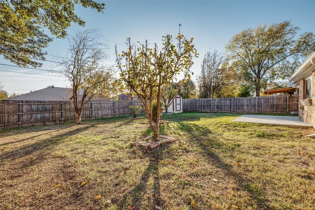 view of yard featuring a storage shed and a patio area