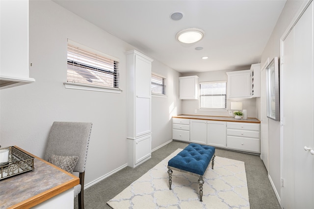 kitchen with white cabinetry and dark carpet