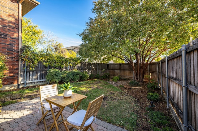 view of yard featuring a patio area