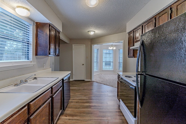 kitchen featuring sink, dark wood-type flooring, a chandelier, extractor fan, and black appliances