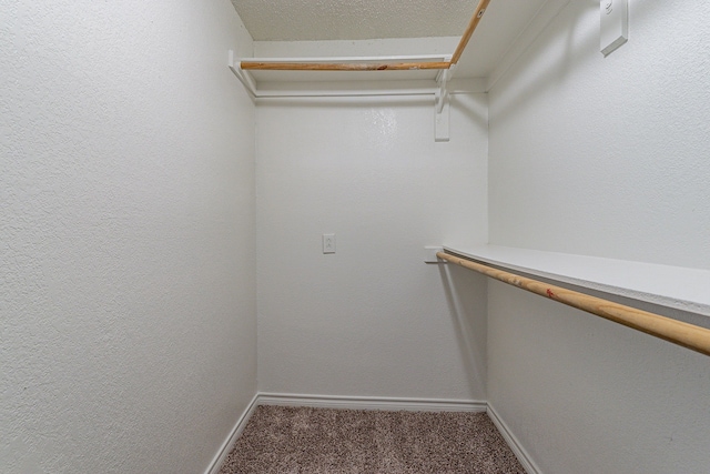 walk in closet featuring carpet floors