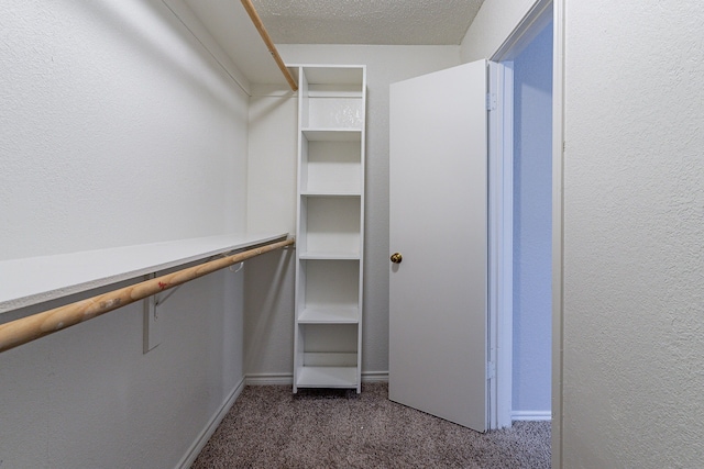 walk in closet featuring dark carpet