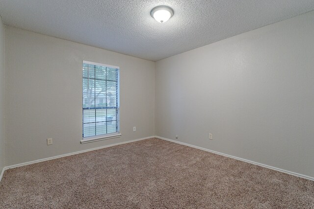 empty room with carpet flooring and a textured ceiling