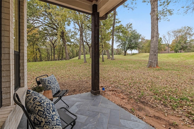 view of yard featuring a patio area