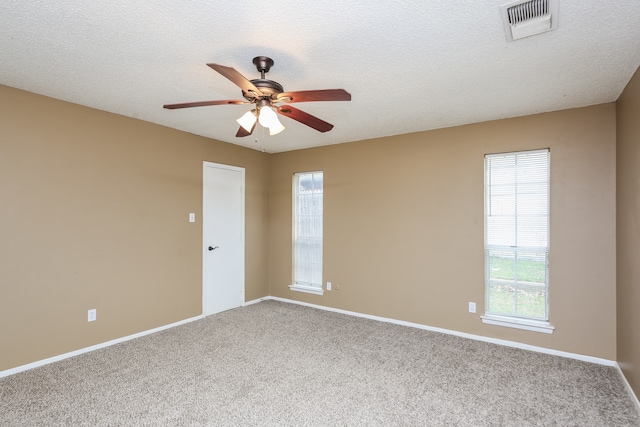 spare room with carpet flooring, a textured ceiling, and a wealth of natural light