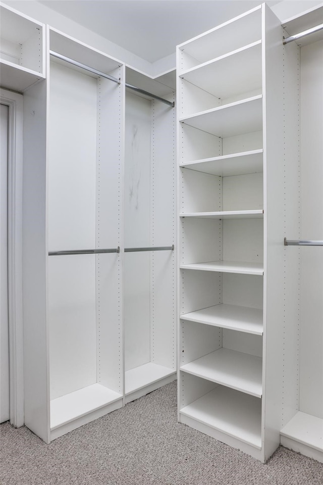 spacious closet featuring carpet flooring