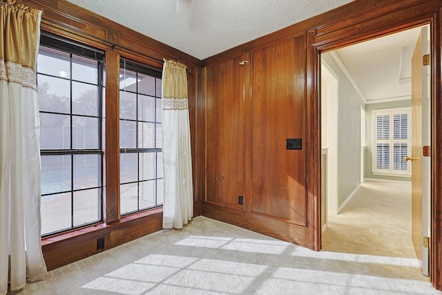 spare room featuring crown molding, light colored carpet, and a textured ceiling