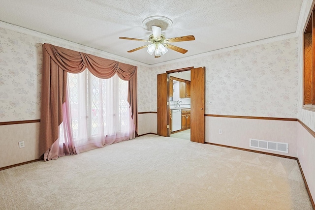 carpeted empty room featuring ceiling fan, ornamental molding, sink, and a textured ceiling