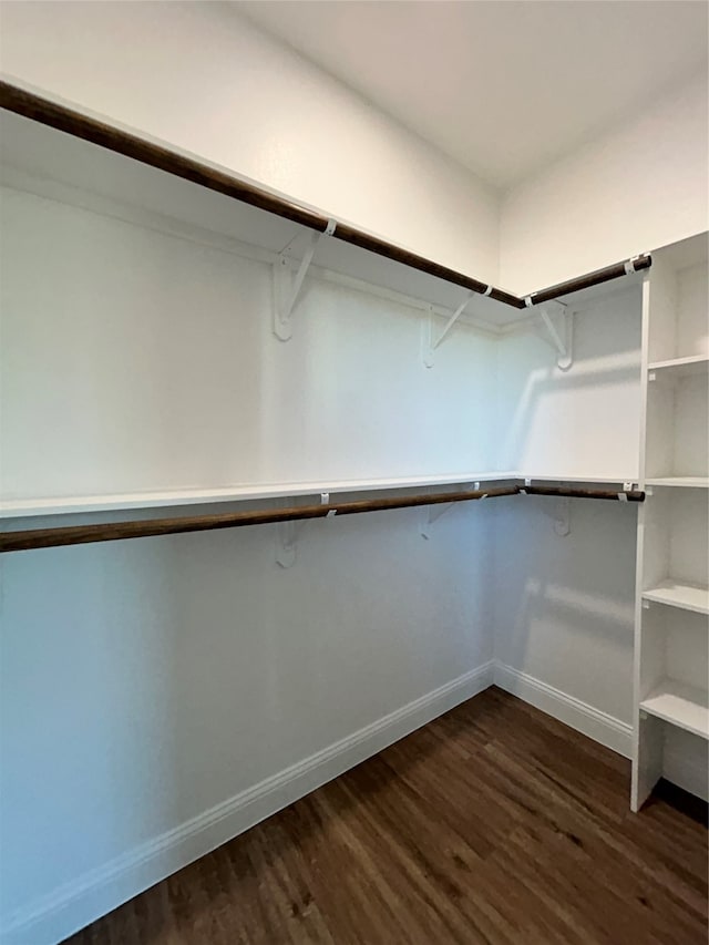 walk in closet with dark hardwood / wood-style flooring