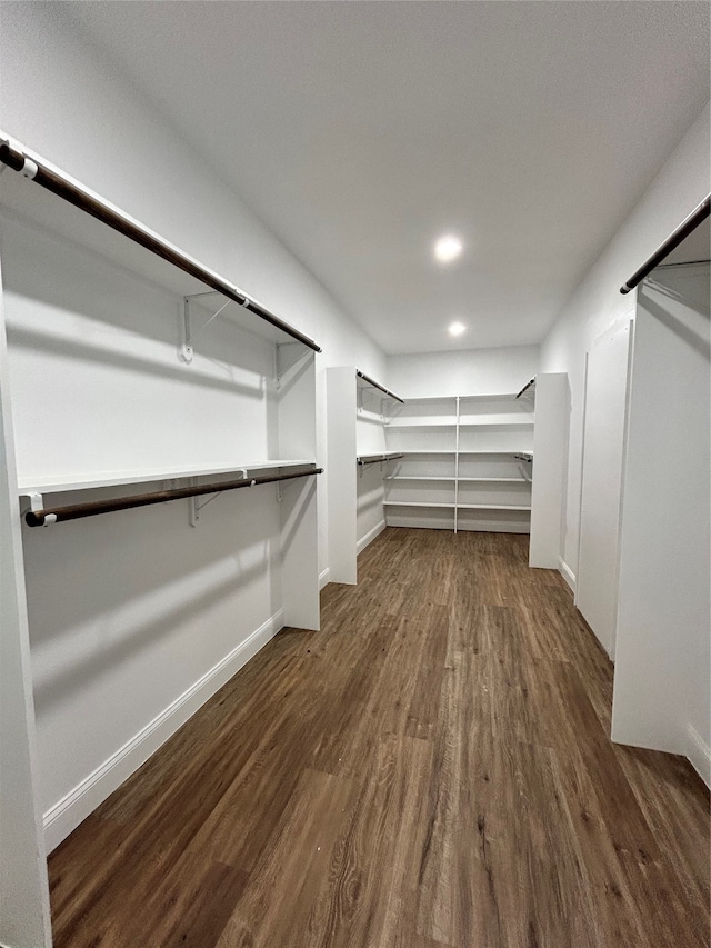 walk in closet with dark wood-type flooring