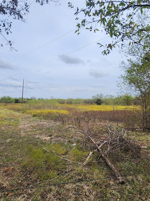 view of nature with a rural view