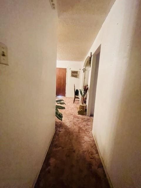 hallway featuring carpet floors