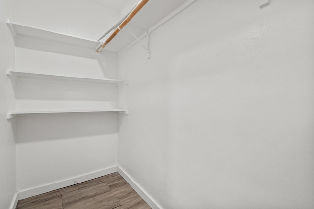 spacious closet featuring wood-type flooring