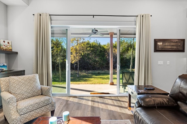 doorway featuring hardwood / wood-style flooring, a wealth of natural light, and ceiling fan