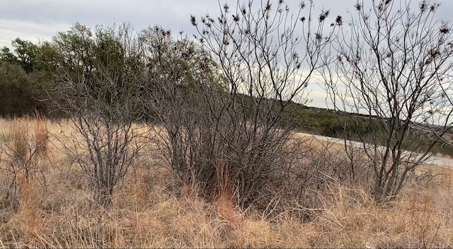 Listing photo 2 for LOT295 Shooting Star Ct, Possum Kingdom Lake TX 76449