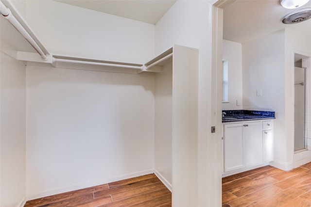 walk in closet with sink and wood-type flooring