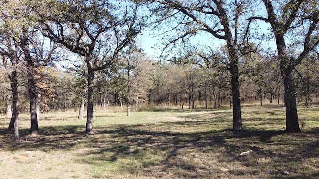 196 Johnston Ln, Runaway Bay TX, 76426 land for sale