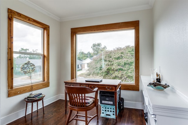 interior space featuring dark hardwood / wood-style floors and crown molding