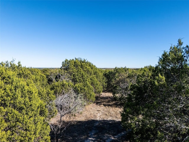 Listing photo 3 for LOT52 Longview Dr, Lampasas TX 76550