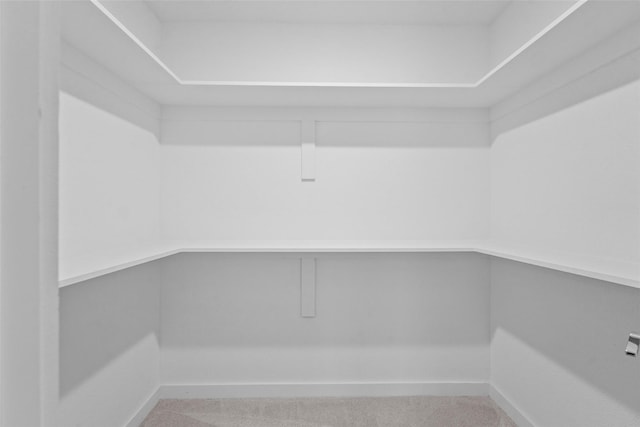 906 Benton St, Bonham, TX 75418 - walk in closet with carpet flooring