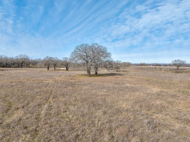 view of nature featuring a rural view