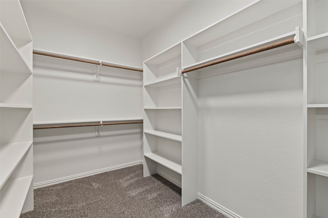 walk in closet featuring dark colored carpet