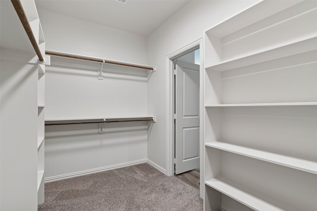 walk in closet with carpet floors