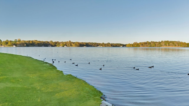 property view of water