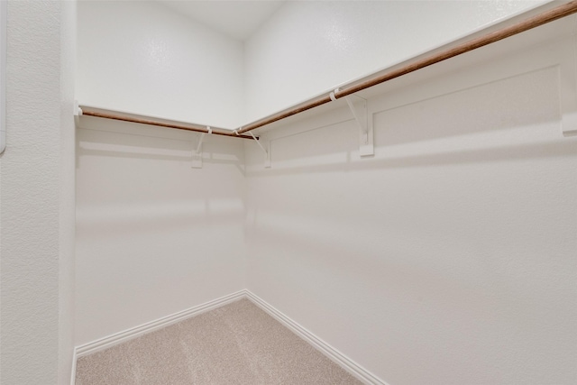 walk in closet featuring carpet floors