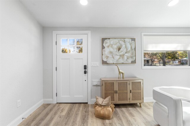 foyer entrance featuring light hardwood / wood-style flooring