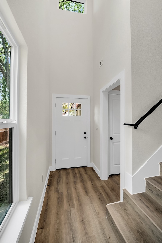 entryway with wood-type flooring and a high ceiling