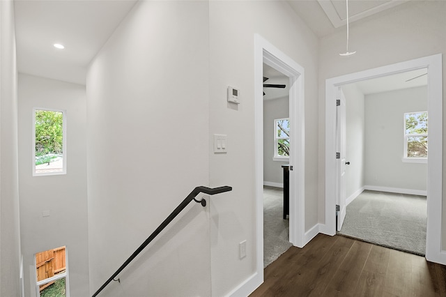 hall featuring plenty of natural light and dark wood-type flooring