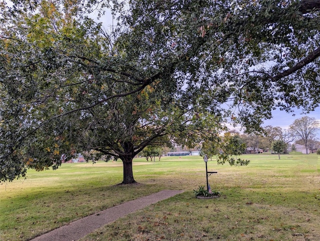 view of community featuring a yard