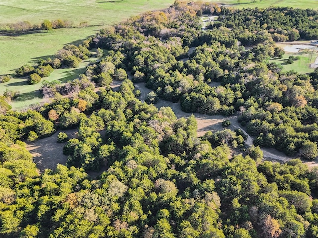 aerial view with a rural view