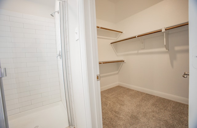 walk in closet with carpet flooring