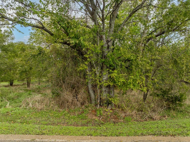 27070 Stonewood Dr, Whitney, TX 76692