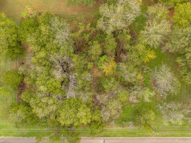 27070 Stonewood Dr, Whitney, TX 76692